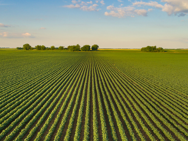 Agriculture